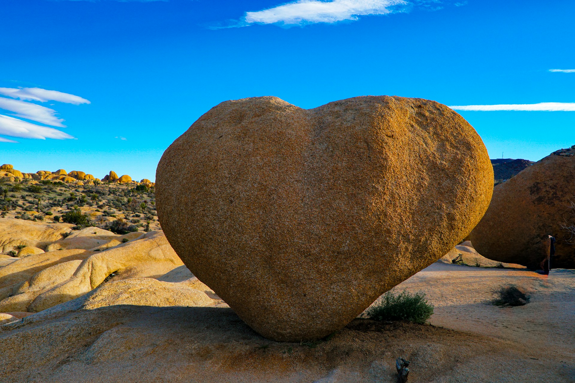 patrick-mayor-0t9hW9_ZlAc-unsplash